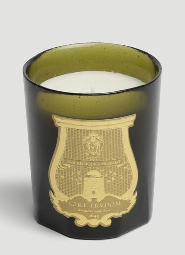 Solis Rex Candle Cire Trudon Solis Rex Candle Green wps0644245