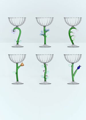 Ichendorf Milano Set Of Six Botanica Champagne Glasses Clear wps0691236