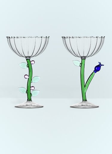 Set Of Six Botanica Champagne Glasses Ichendorf Milano Set Of Six Botanica Champagne Glasses Clear wps0691236