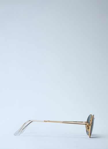 Oval Sunglasses Ray-Ban Oval Sunglasses Gold lrb0362006