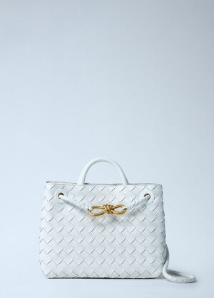 Bottega Veneta Small Andiamo Handbag White bov0261034