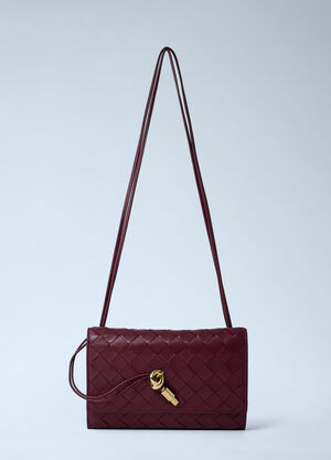 Bottega Veneta Anddiamo 邮差斜挎包  酒红色 bov0262031