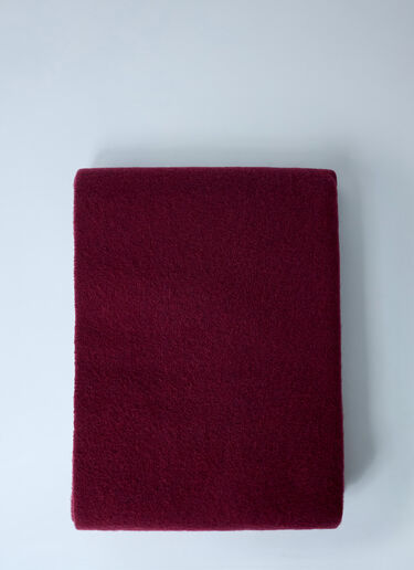 Acne Studios Fringe Wool Scarf Burgundy acn0162031