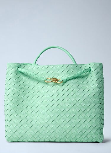 Large Andiamo Handbag Bottega Veneta Large Andiamo Handbag Green bov0261035