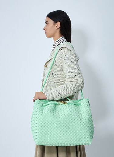 Bottega Veneta Large Andiamo Handbag Green bov0261035