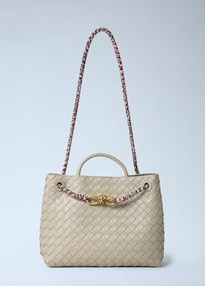 Bottega Veneta Small Andiamo Handbag Ecru bov0261054