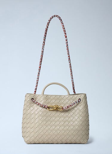 Small Andiamo Handbag Bottega Veneta Small Andiamo Handbag Ecru bov0261054