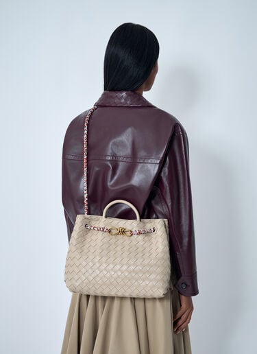 Small Andiamo Handbag Bottega Veneta Small Andiamo Handbag Ecru bov0261054