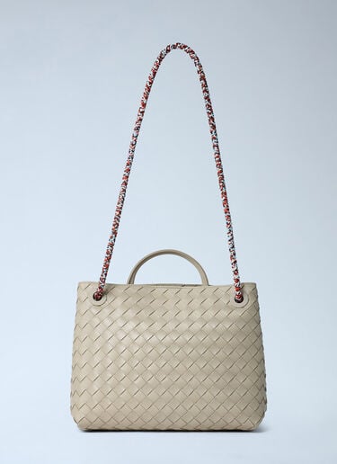 Small Andiamo Handbag Bottega Veneta Small Andiamo Handbag Ecru bov0261054