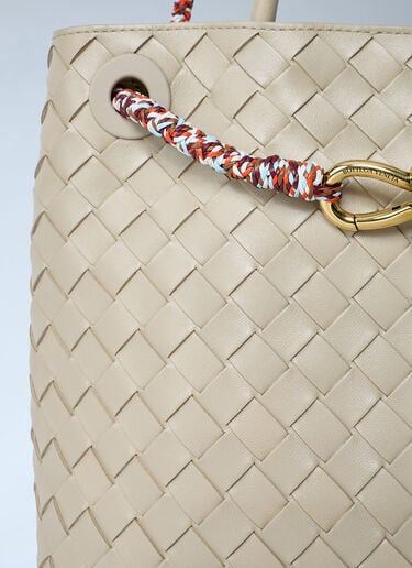Small Andiamo Handbag Bottega Veneta Small Andiamo Handbag Ecru bov0261054