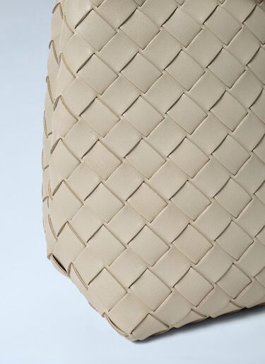 Small Andiamo Handbag Bottega Veneta Small Andiamo Handbag Ecru bov0261054