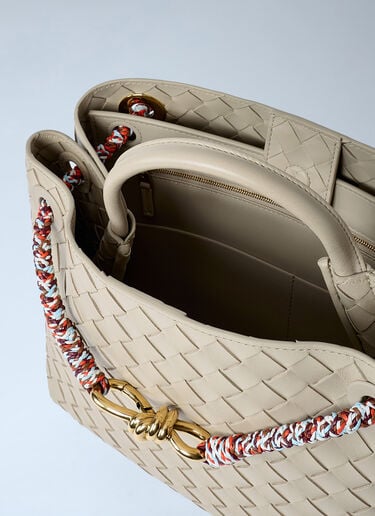 Small Andiamo Handbag Bottega Veneta Small Andiamo Handbag Ecru bov0261054