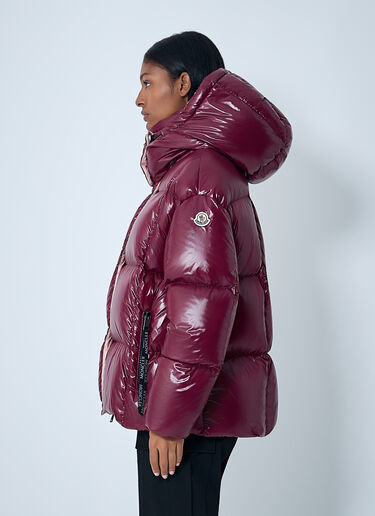 Parana Down Jacket Moncler Parana Down Jacket Bordeaux mon0262001