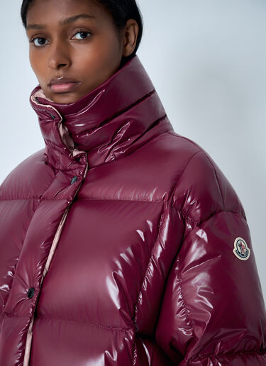 Parana Down Jacket Moncler Parana Down Jacket Bordeaux mon0262001