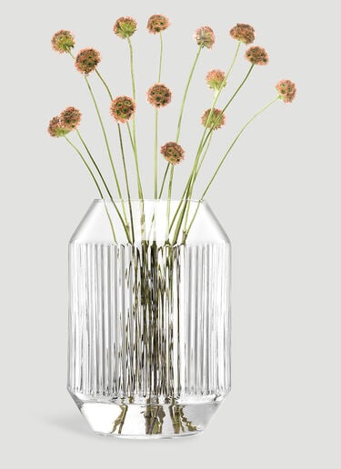 Rotunda Lantern and Vase LSA International Rotunda Lantern and Vase Transparent wps0644395
