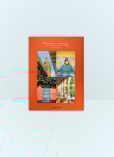 Assouline Cartagena Grace Orange wps0691714