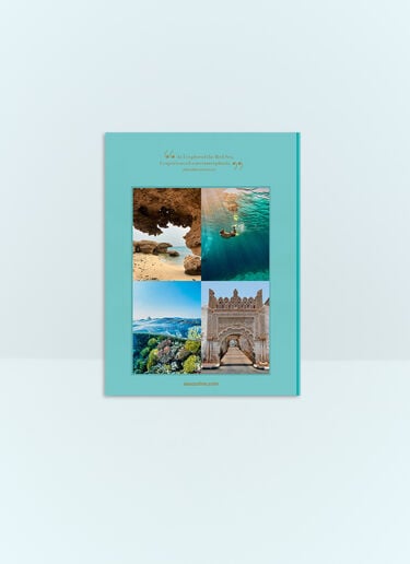Assouline Red Sea: The Saudi Coast Blue wps0691719