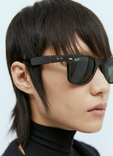 Wayfarer 玳瑁太阳镜 Ray-Ban Wayfarer 玳瑁太阳镜 棕 lrb0353013