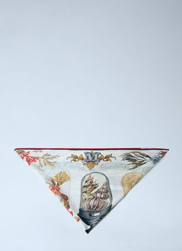 Printed Silk Scarf Max Mara Printed Silk Scarf Beige max0264048
