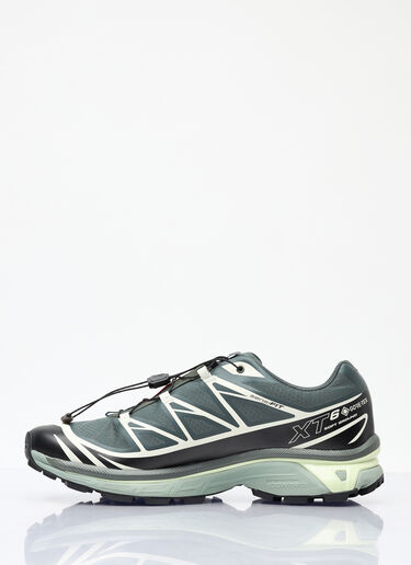 Salomon XT-6 GTX Sneakers Green sal0359004