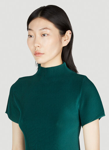 Pleats Please Issey Miyake Mock Neck Top Green plp0253005