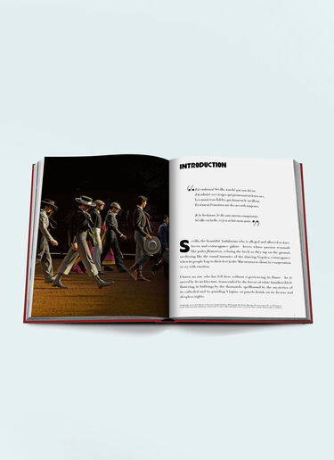 Assouline Sevilla Arte Red wps0691459