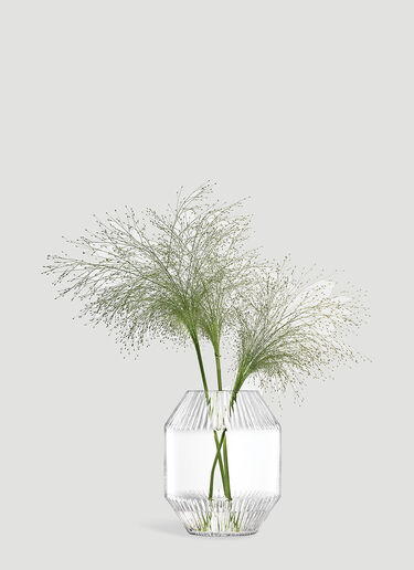 Rotunda Vase LSA International Rotunda Vase Transparent wps0644393