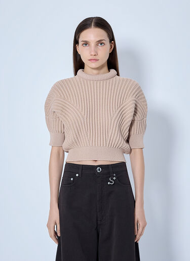 Sportmax Ribbed Knit Sweater Beige spx0265021