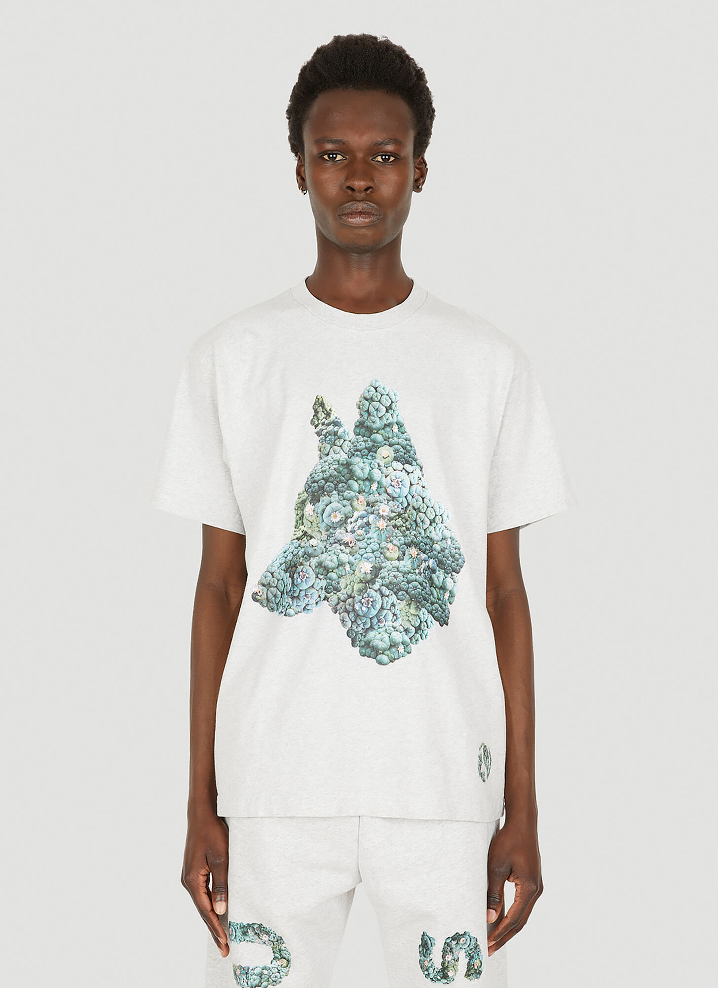 Ecosystem X Drx Big Dog T-shirt In Grey