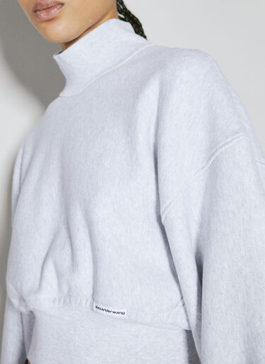 Alexander Wang 크롭 하이넥 스웨터 그레이 awg0255025