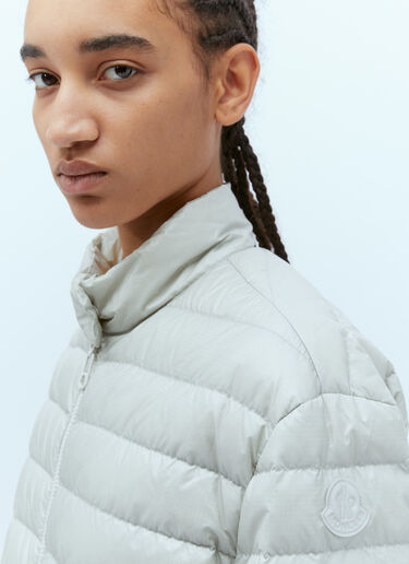 Moncler Morelans 短款羽绒服 灰色 mon0255010