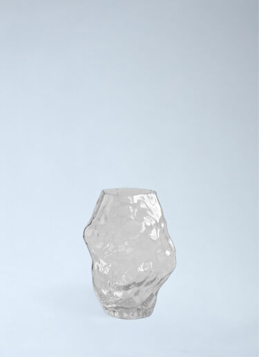 Sculpted Glass Vase 101 Copenhagen Sculpted Glass Vase Clear wps0692437