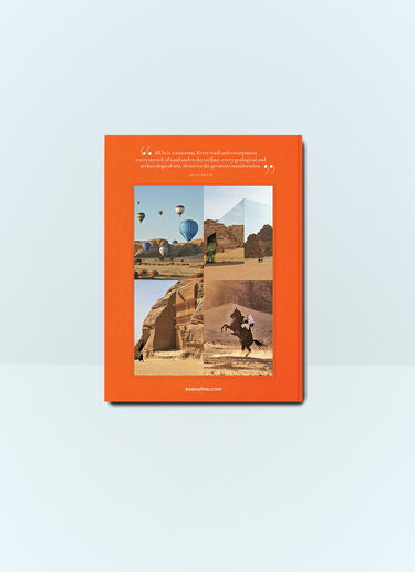 Assouline Alula Ever Orange wps0691712
