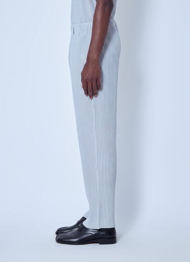 LN-CC® - Homme Plissé Issey Miyake: Pleated Cropped Pants - Grey Homme Plissé Issey Miyake Pleated Cropped Pants Grey hmp0166011