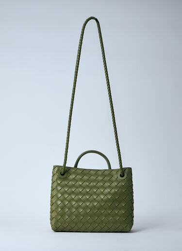 Bottega Veneta Small Andiamo Handbag Green bov0260037