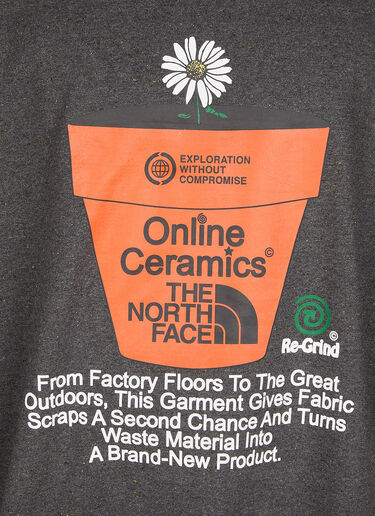 The North Face x Online Ceramics Graphic Sweatshirt Grey tnf0148035