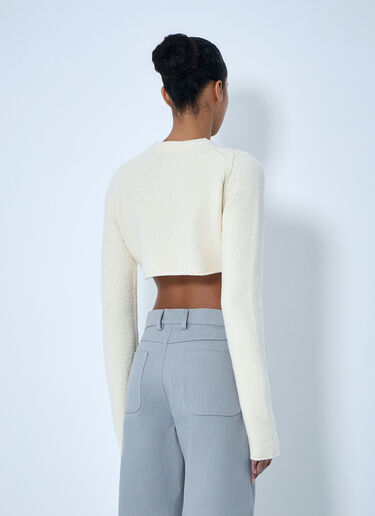 RIER Cropped Knit Sweater Beige rrr0264003