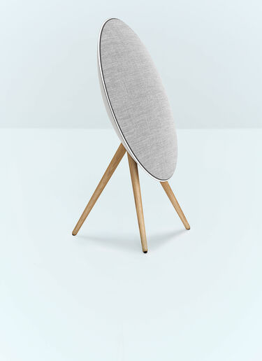 Bang & Olufsen Beoplay A9 5.G Speaker Silver wps0691471