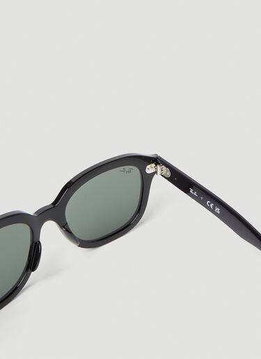 Ray-Ban Erik Sunglasses Black lrb0353009