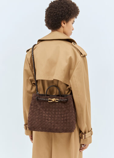 Bottega Veneta Medium Andiamo Suede Handbag Brown bov0258023