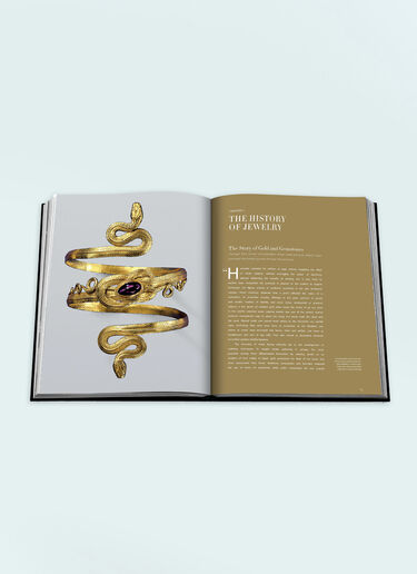 Assouline Jewelry Guide : The Ultimate Compendium Black wps0691729