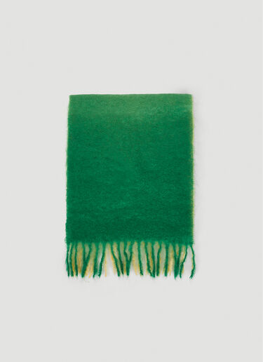 GANNI Gradient Scarf Green gan0251072