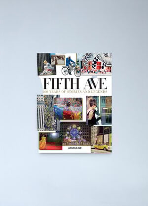 Assouline Fifth Avenue: 200 Years of Stories And Legends White wps0691909