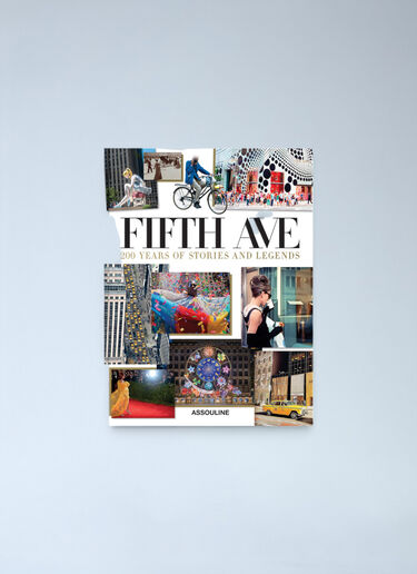 Assouline Fifth Avenue: 200 Years of Stories And Legends White wps0691909