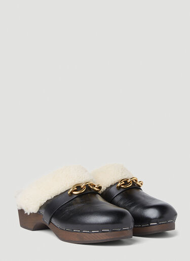 Saint Laurent Toff 15 Clogs Black sla0349001