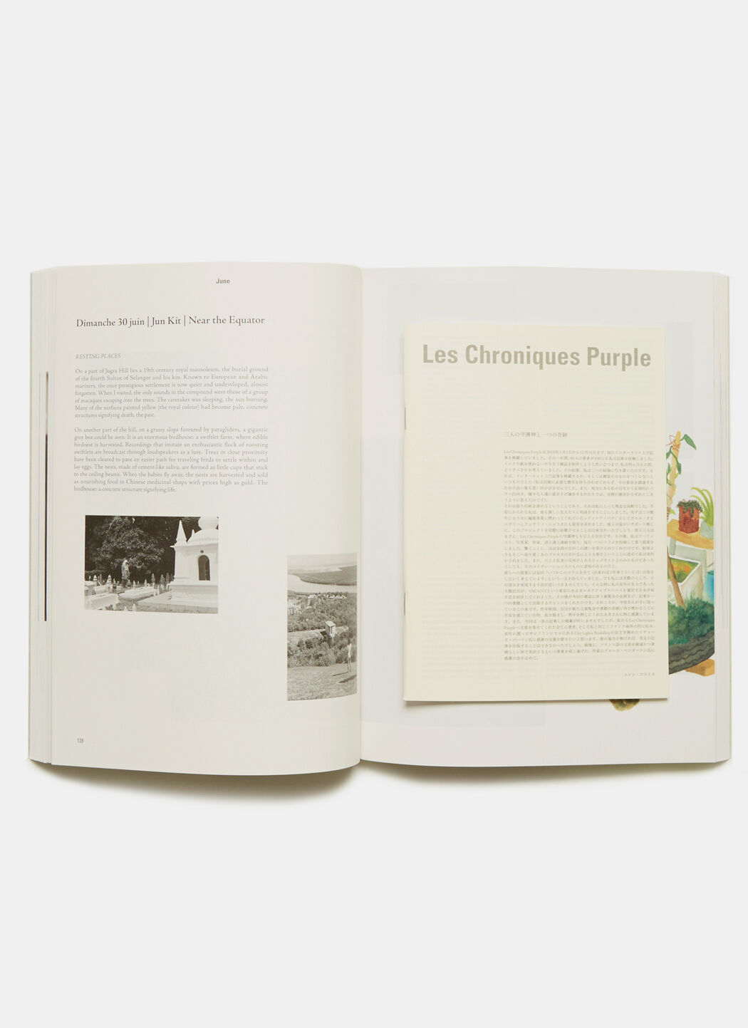 Les Chroniques Purple | Elein Fleise エレン・フライス