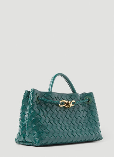 Bottega Veneta Small East/West Andiamo Handbag Green bov0255095