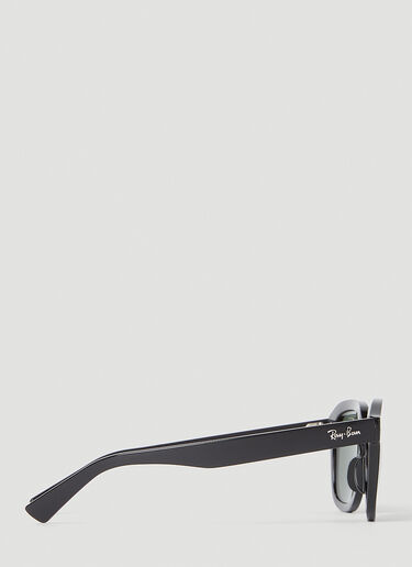 Ray-Ban Erik Sunglasses Black lrb0353009