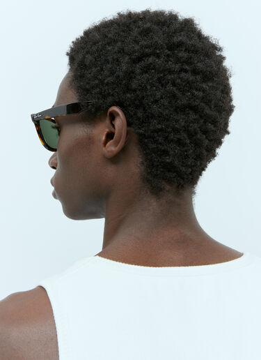 ウェイファーラー トータスサングラス Ray-Ban ウェイファーラー トータスサングラス ブラウン lrb0353013