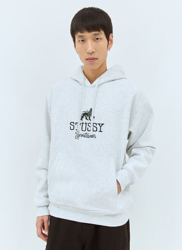 Sportswear Hooded Sweatshirt Stüssy Sportswear Hooded Sweatshirt Light Grey sts0158027